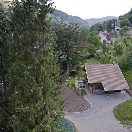 Le Chalet Margaux La Bresse Εξωτερικό φωτογραφία